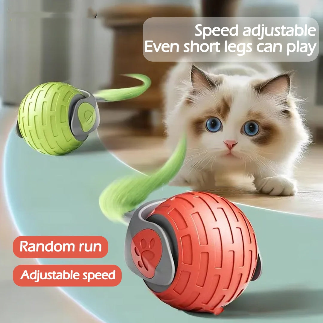 Balle Interactive Auto-Roulante Chat — vue produit