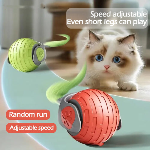 Balle Interactive Auto-Roulante Chat — vue produit